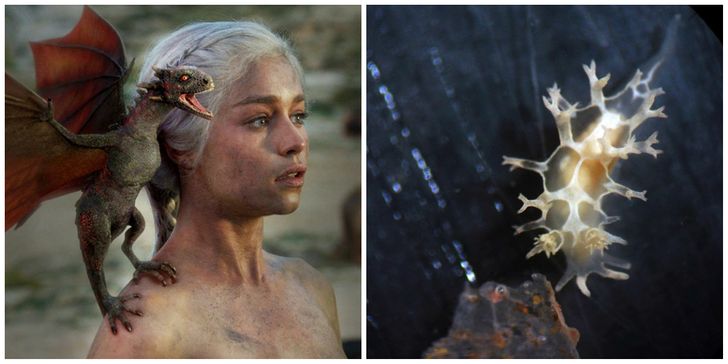 21 Facts That Will Change the Way You Watch “Game of Thrones”