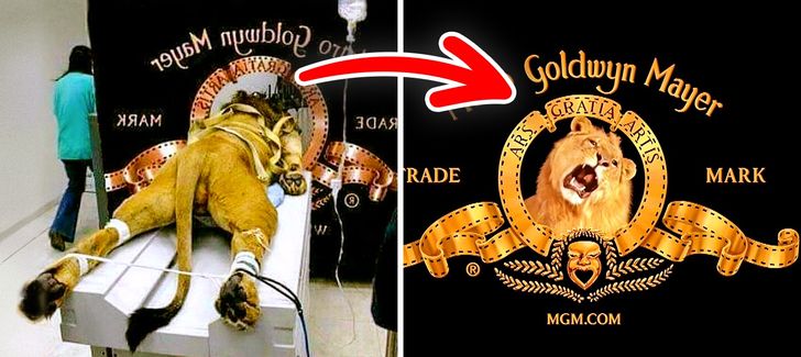 12 Astonishing Facts About Famous Logos You Didn T Know