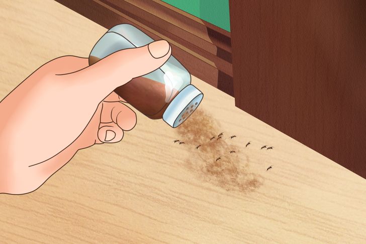 8 Ways to Get Rid of Bugs in Your House / Bright Side