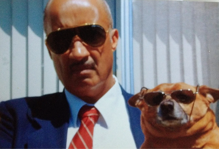f3d53253daaf5b0d77e4caf2ea 20+ Photos That Prove Owners and Their Pets Are Hilariously Alike / Bright Side