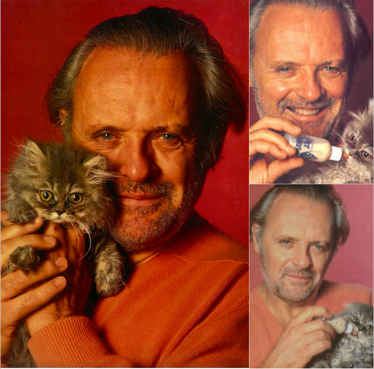 15 handsome men with their kittens