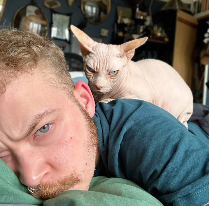 93c91e5dceb6434fb54c372eb3 20+ Photos That Prove Owners and Their Pets Are Hilariously Alike / Bright Side