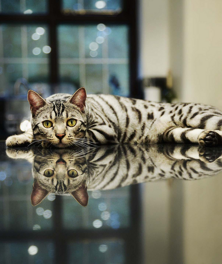 The 20 best photos of the month you just can’t take your eyes off of