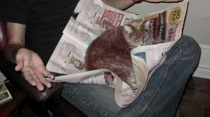 17 Cats and Dogs Who Cannot Do Without Their Humans