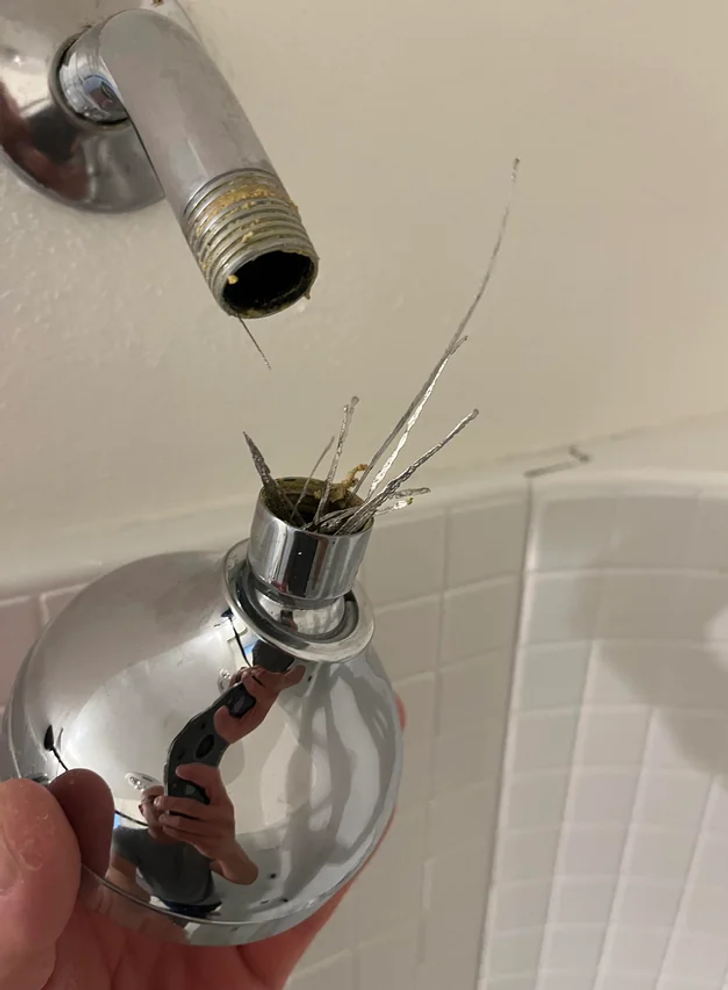 A hand holding a shower head with metal strings coming out of it.