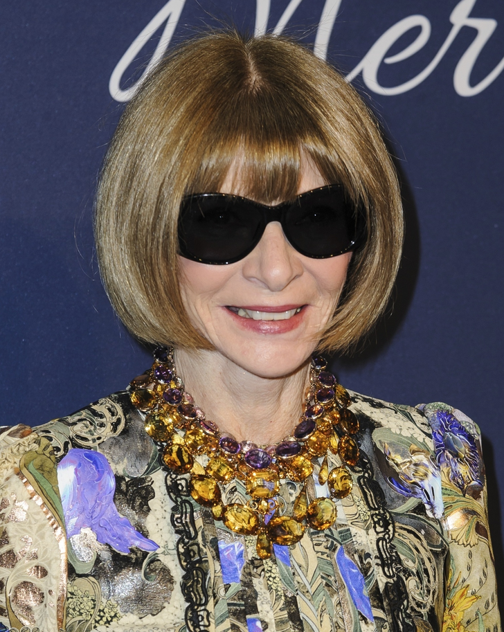 The Story of Anna Wintour, “The Iron Lady of Gloss,” Who Was the ...