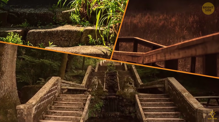 Breaking News Why Abandoned Stairs Occupy Acting in Woods Randomly