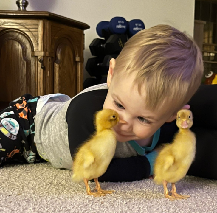 15+ Pics That Prove Every Minute With a Kid Is a Burst of Surprises