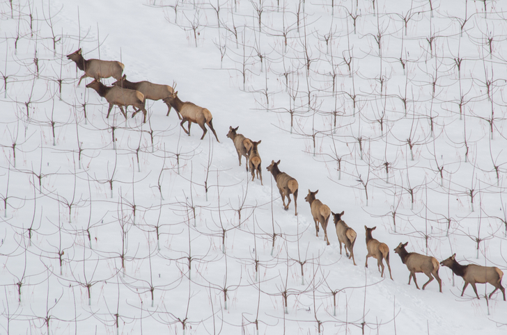 25 photos that prove the world is an utterly wonderful place