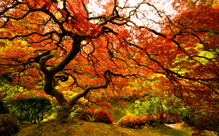 The 20 best photos of the month you just can’t take your eyes off of