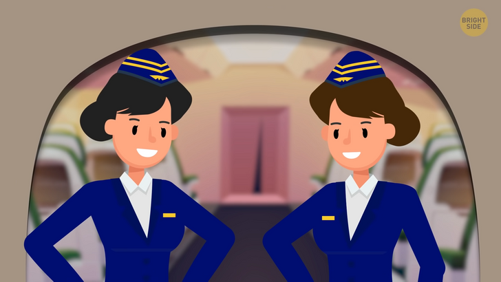 Flight Attendants Reveal What the Crew Does on an Empty Flight / Bright Side