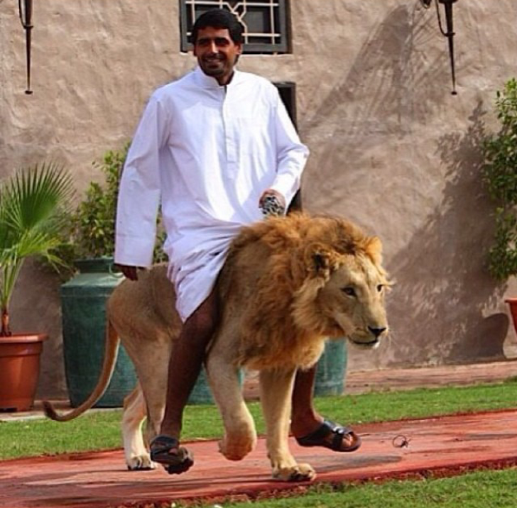 26 Pictures of Obscene Luxury From Dubai