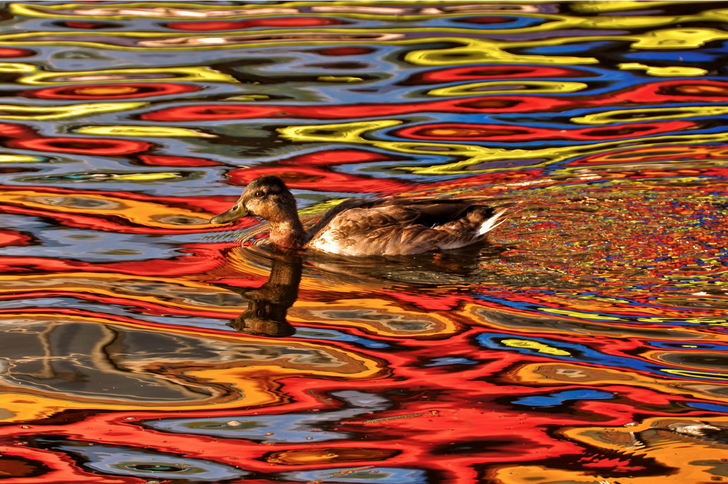 17 Seriously Mind-Blowing Pictures Untouched by Photoshop