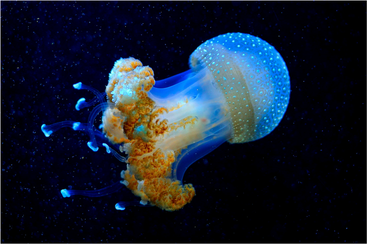 17 Seriously Mind-Blowing Pictures Untouched by Photoshop