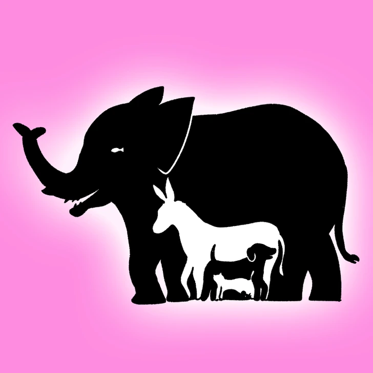 Optical Illusion Visual Challenge Find All Hidden Animals in 21 Seconds