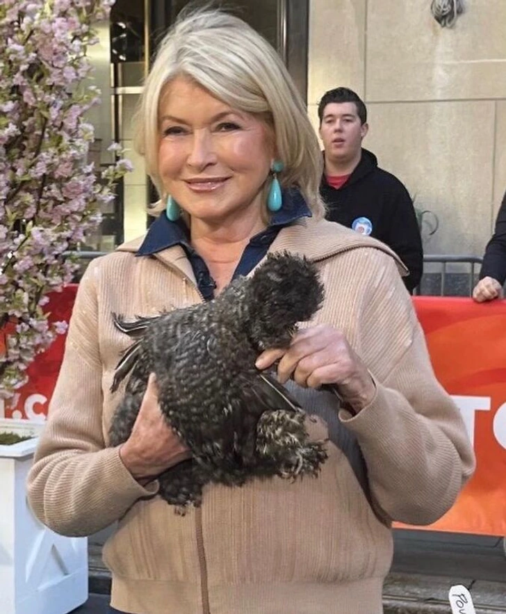 Martha Stewart, 81, says her Sports Illustrated swimsuit photos 'haven't been retouched'